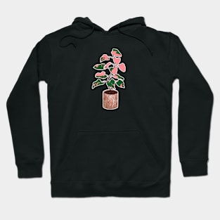 A watercolor potted plant Hoodie